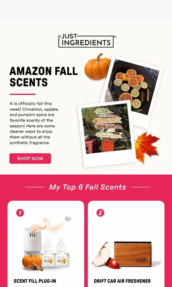 Just Ingredients email: 6 Fall Scent Swaps 🍁