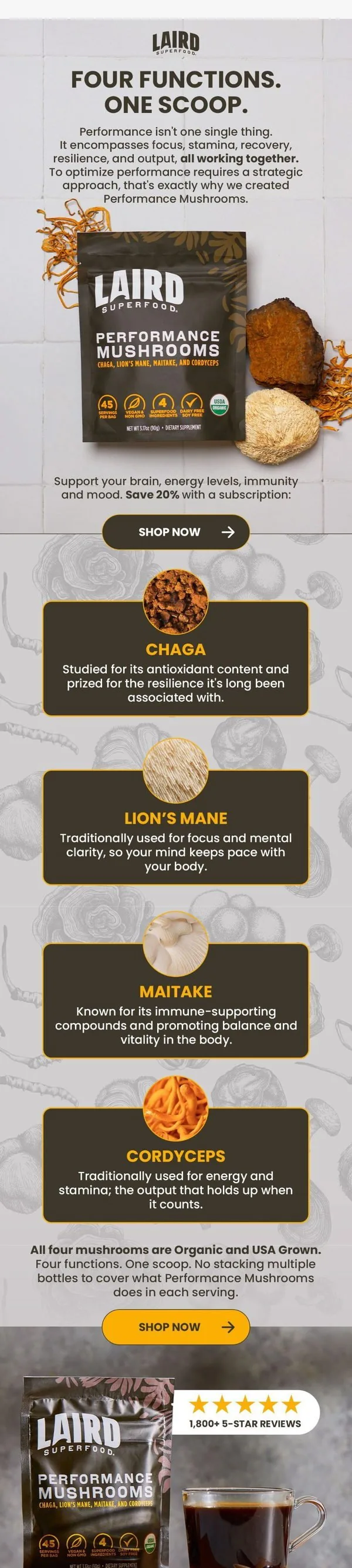 Laird Superfood email: Meet the 4 mushrooms behind your best performance